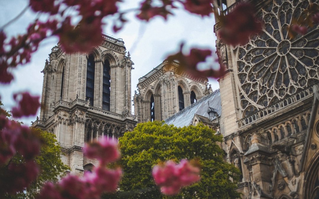 Comment réaliser l’oeuvre alchimique dans une cathédrale ?
